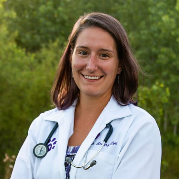 Dr. Kristina Wert, Clarksville Veterinarian